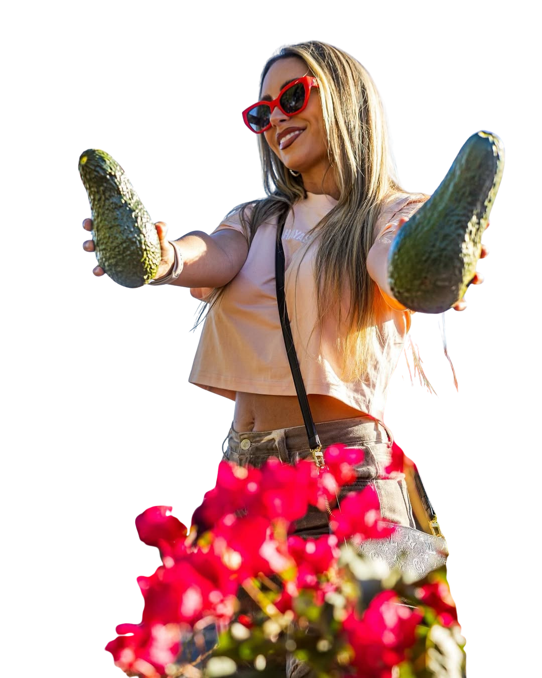 Jackson Ranch avocados